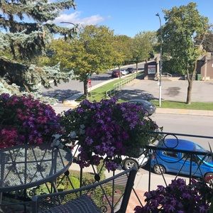 Meet your Posher, Fatiha